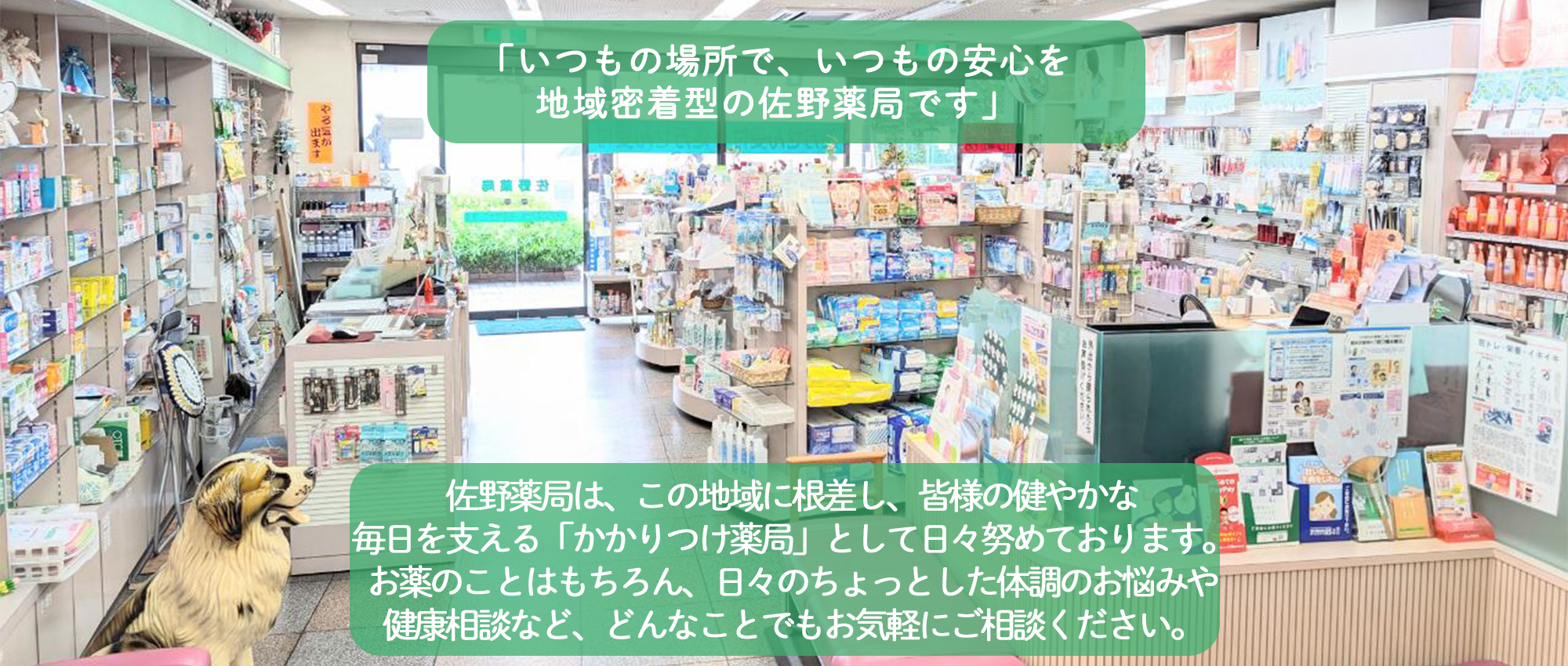 佐野薬局　内観